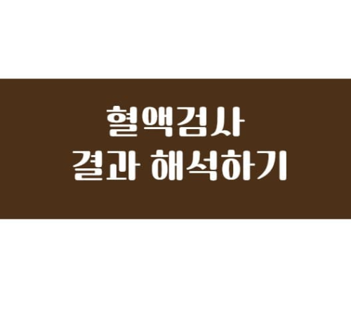 제목썸네일사진