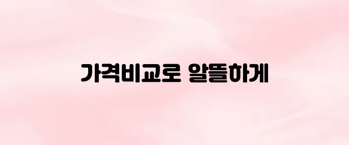 해외여행자보험 가격비교 및 인터넷 가입