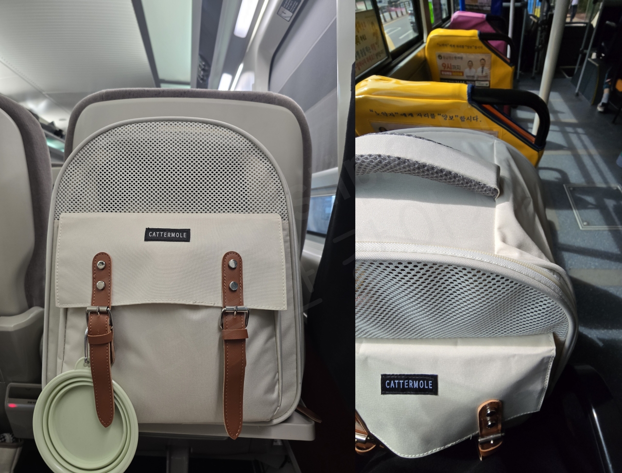 강아지 이동 가방의 장점으로는 대중교통을 이용할 수 있다는 것