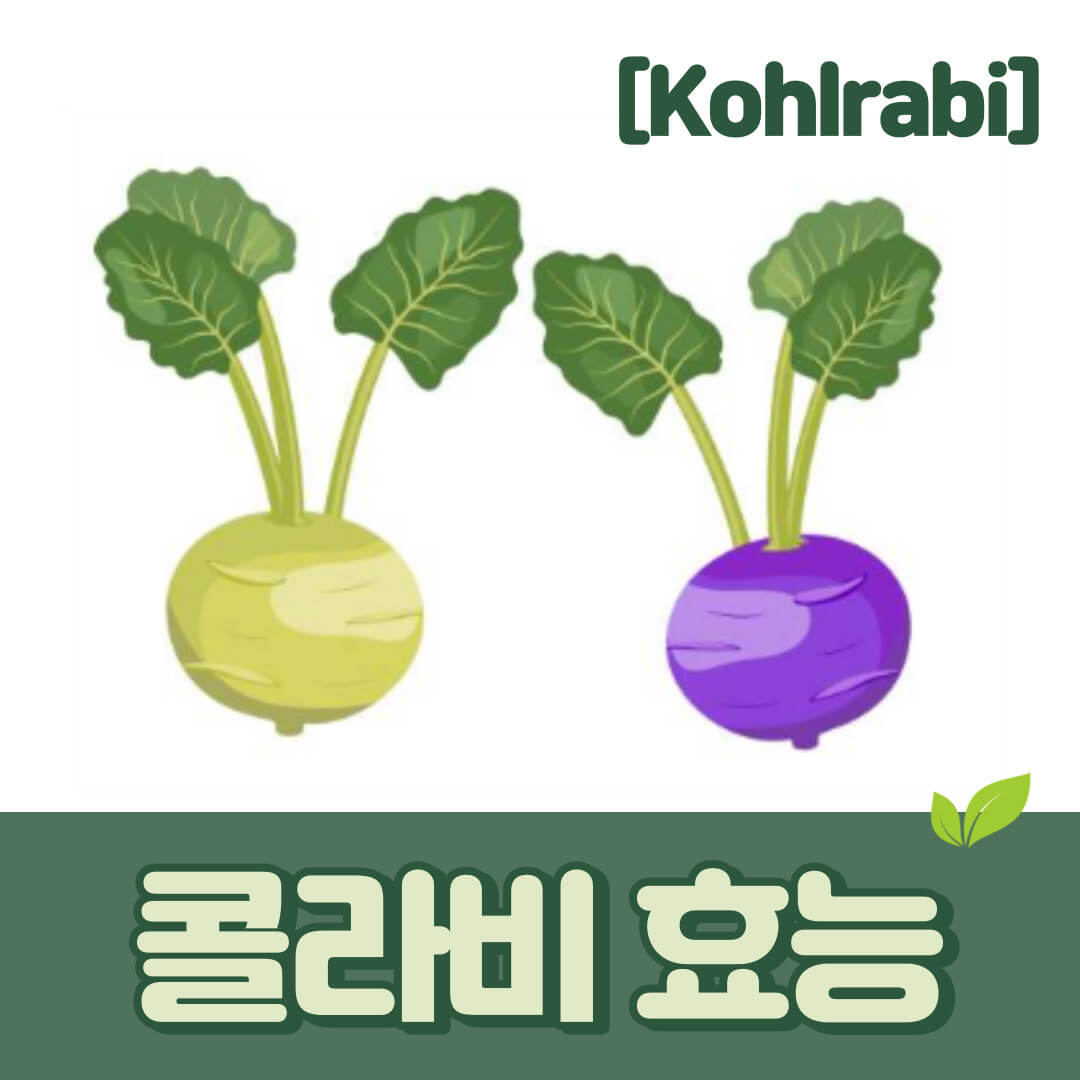 콜라비 효능