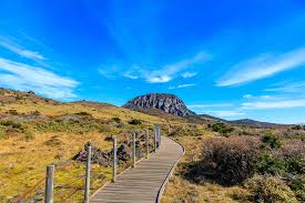 제주도 가족 여행