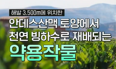 파바빈이란