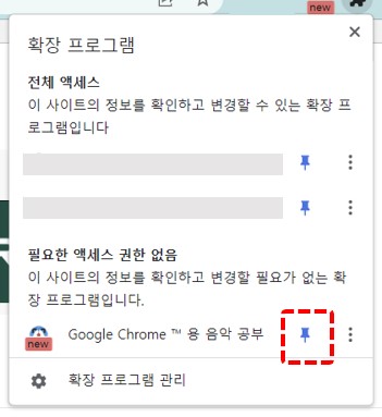 확장 프로그램 핀 고정 후