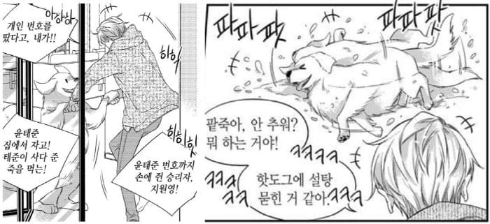 비의도적연애담-팥죽이