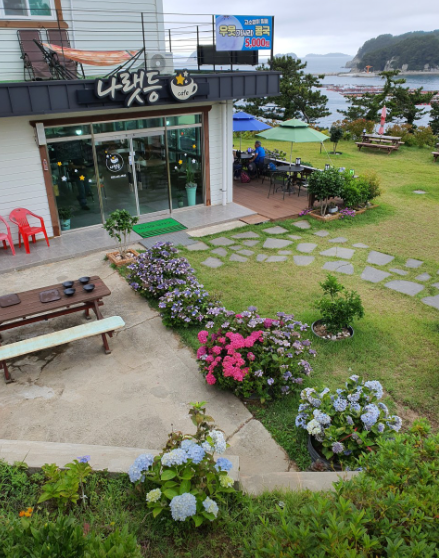 6시내고향 우뭇가사리 콩국 민박&amp;낚시 해산물 경남 통영 관련 정보