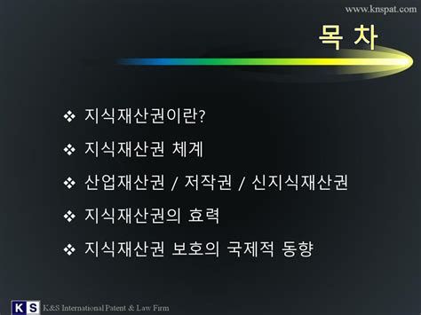 국제변리사