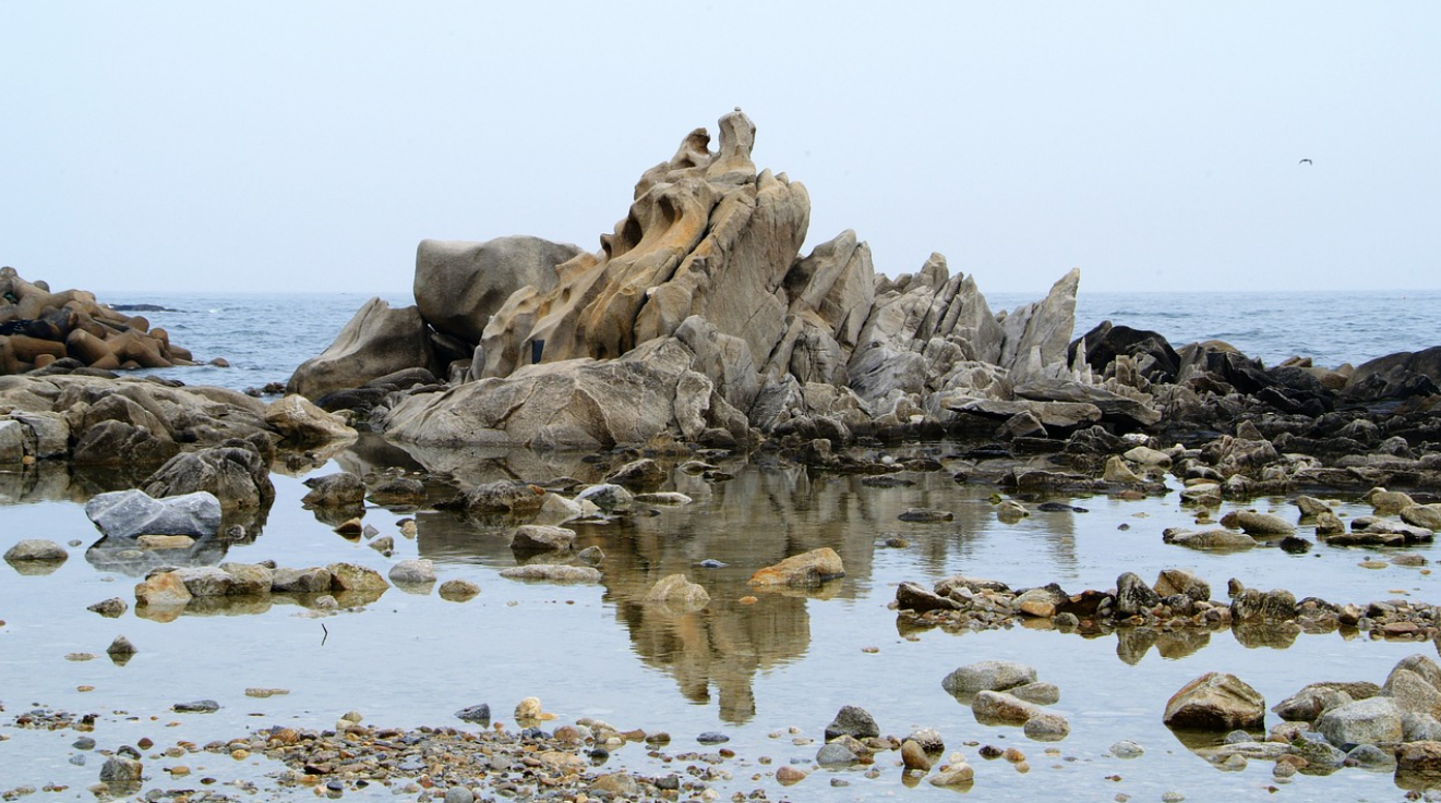강릉 주문진 관련 사진