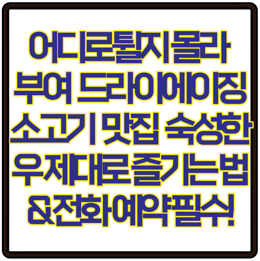 어디로튈지몰라 부여 드라이에이징 소고기 맛집 숙성한우 제대로 즐기는 법 &amp; 전화 예약 필수!