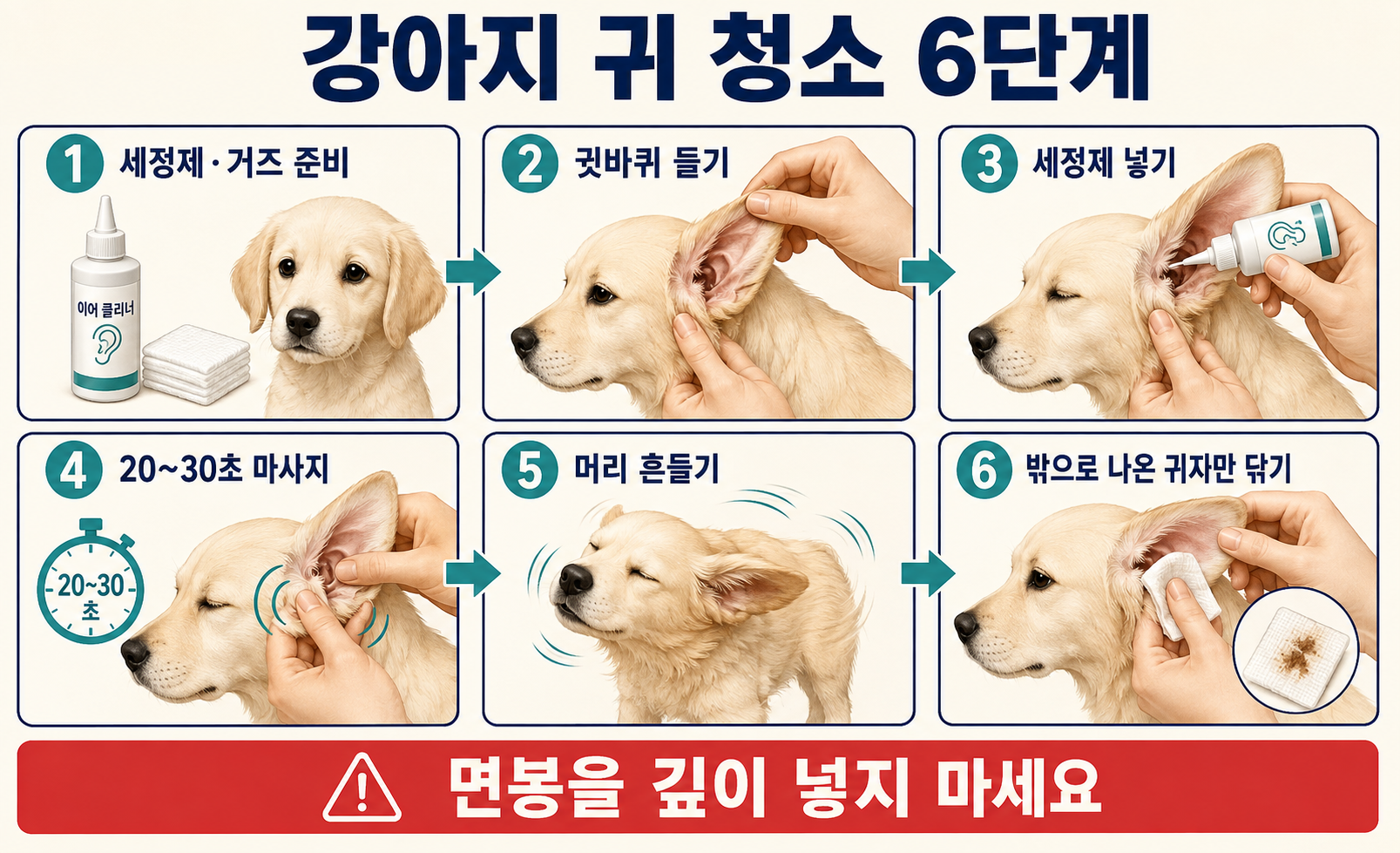 반려견용 귀 세정제를 사용해 강아지 귀를 안전하게 청소하는 6단계 순서