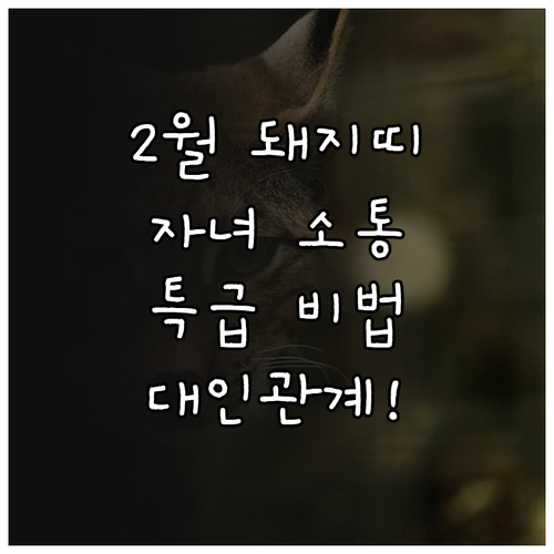 2025년 2월 돼지띠 자녀 소통 방..
