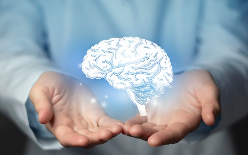 알츠하이머·파킨슨·혈관성 치매 차이점 총정리 + 증상 체크리스트