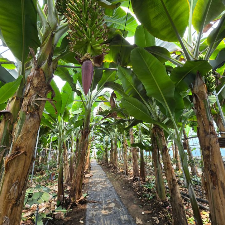 큰삼촌농촌체험