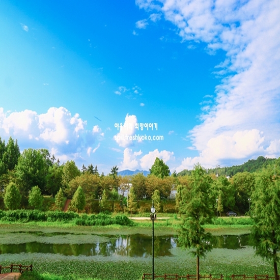 담양 가볼만한곳