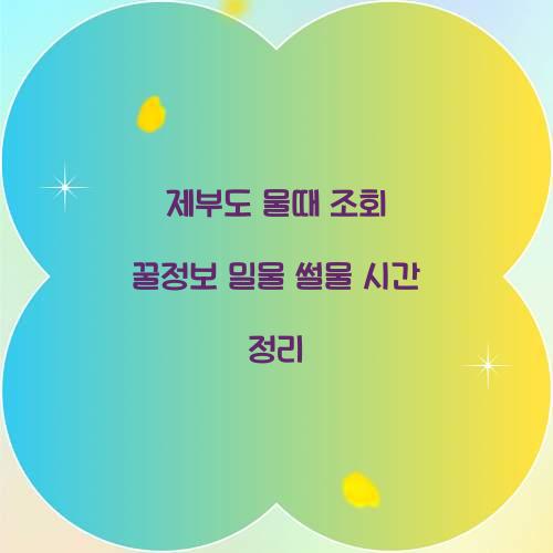 제부도 물때 조회