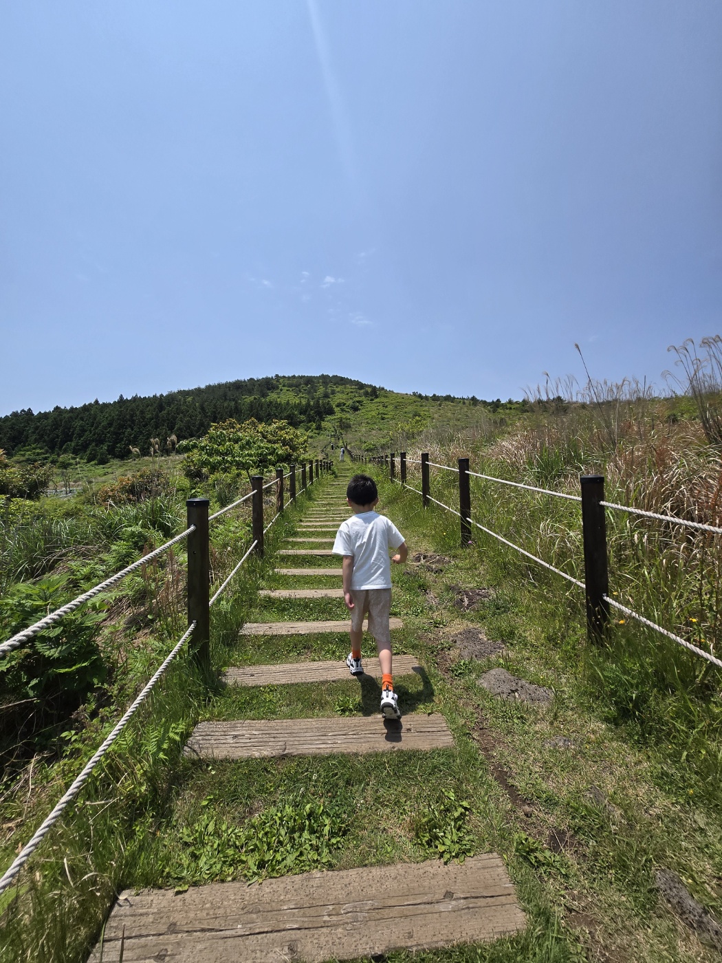 제주 백약이오름