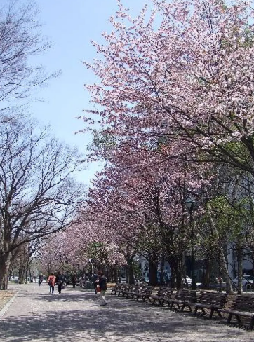 오도리공원