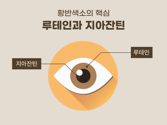 중장년 건강기능식품 추천 TOP 5