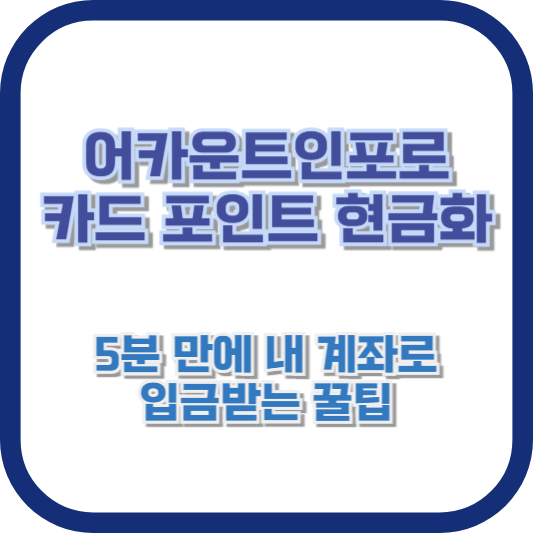 어카운트인포로 카드 포인트 현금화, 5분 만에 내 계좌로 입금받는 꿀팁