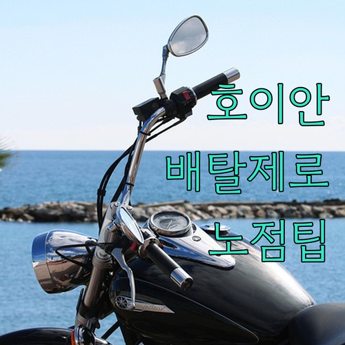 베트남 호이안 길거리 음식 배탈 없이..