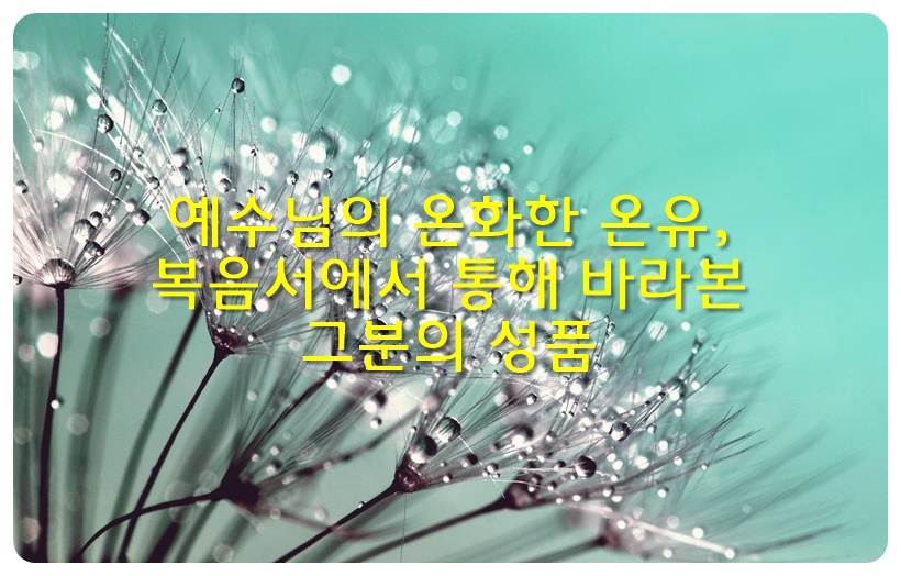 예수님의 온화한 온유&#44; 복음서에서 통해 바라본 그분의 성품