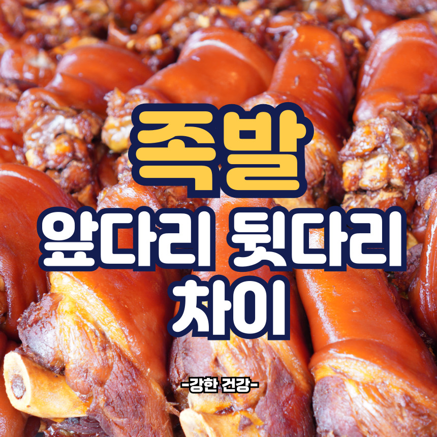 족발 앞다리 뒷다리 차이