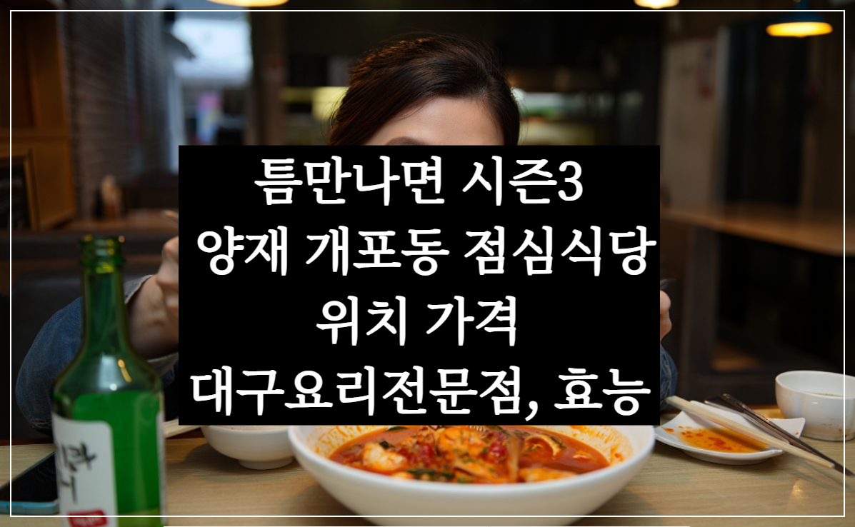 틈만나면 양재 식당 위치, 개포동 대구냄비매운탕 뽈지리탕 내장볶음, 최지우 시즌3 맛집