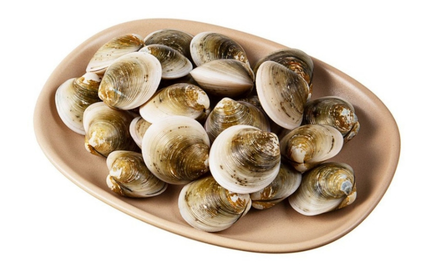바다에서 채취를 한 모시조개를 깨끗하게 세척한 후에 하얀 바닥 위에 타원형의 회색 접시에 수북하게 담아두고 찍은 사진