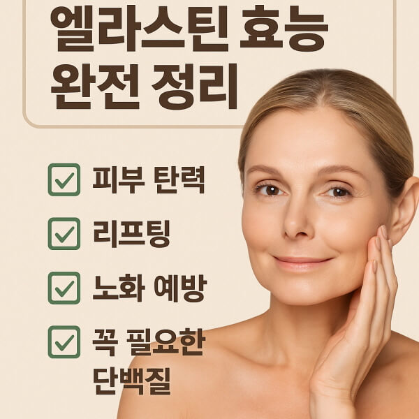 엘라스틴의 효능/gpt