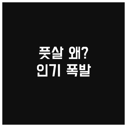 풋살 열풍 이유? 인기 비결부터 미래