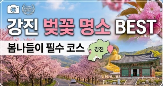 강진 벚꽃