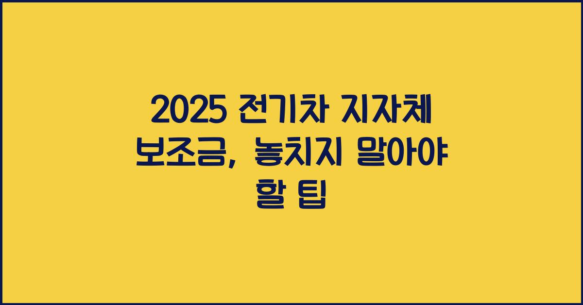 2025 전기차 지자체 보조금
