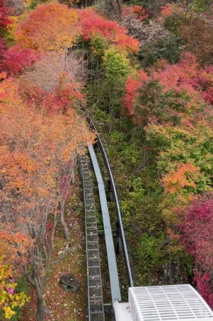 2024화담숲 가을단풍축제
