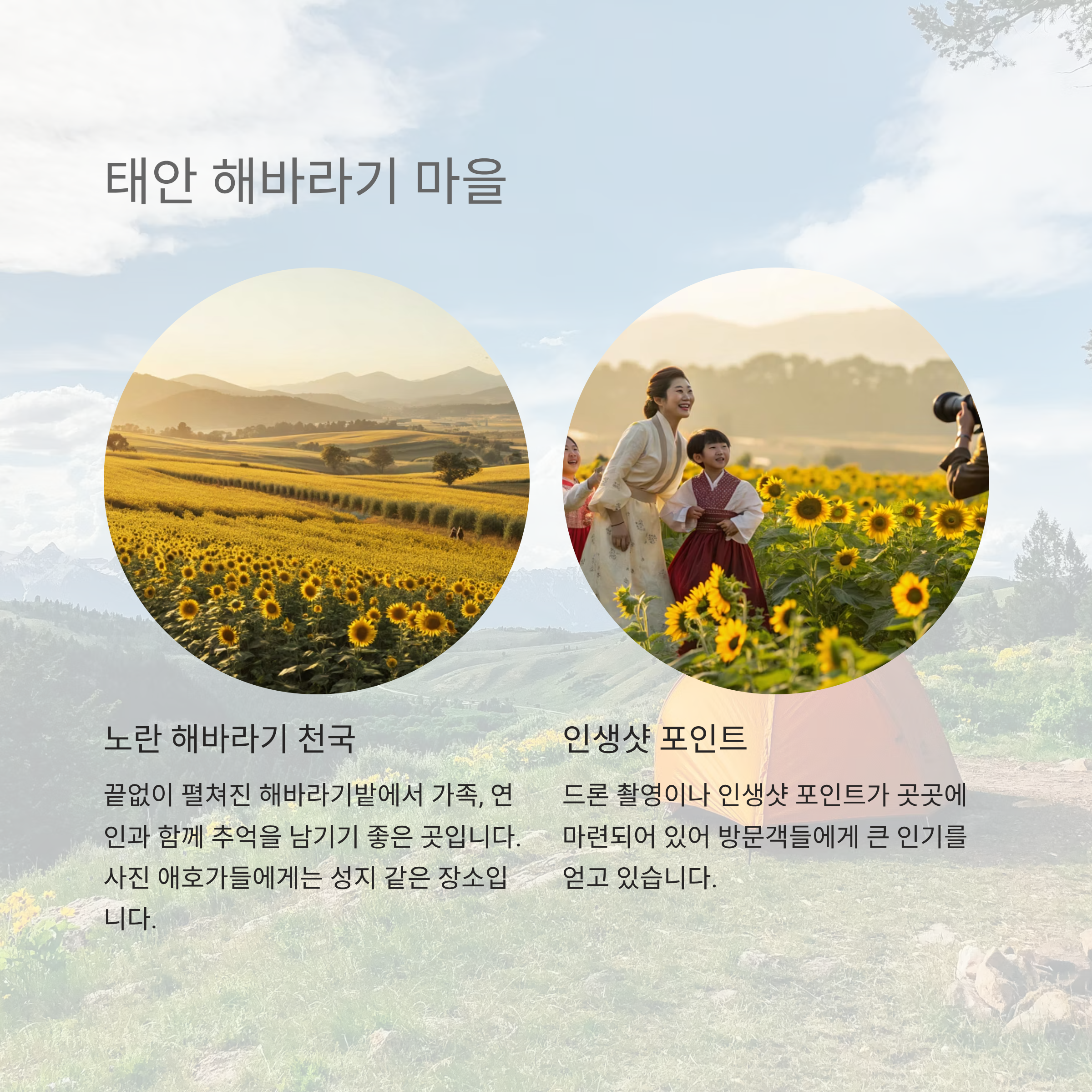 9월 여행지 추천, 상사화와 꽃축제로 물드는 가을