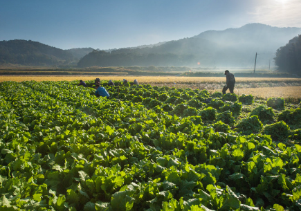 현식당 대표 메뉴 