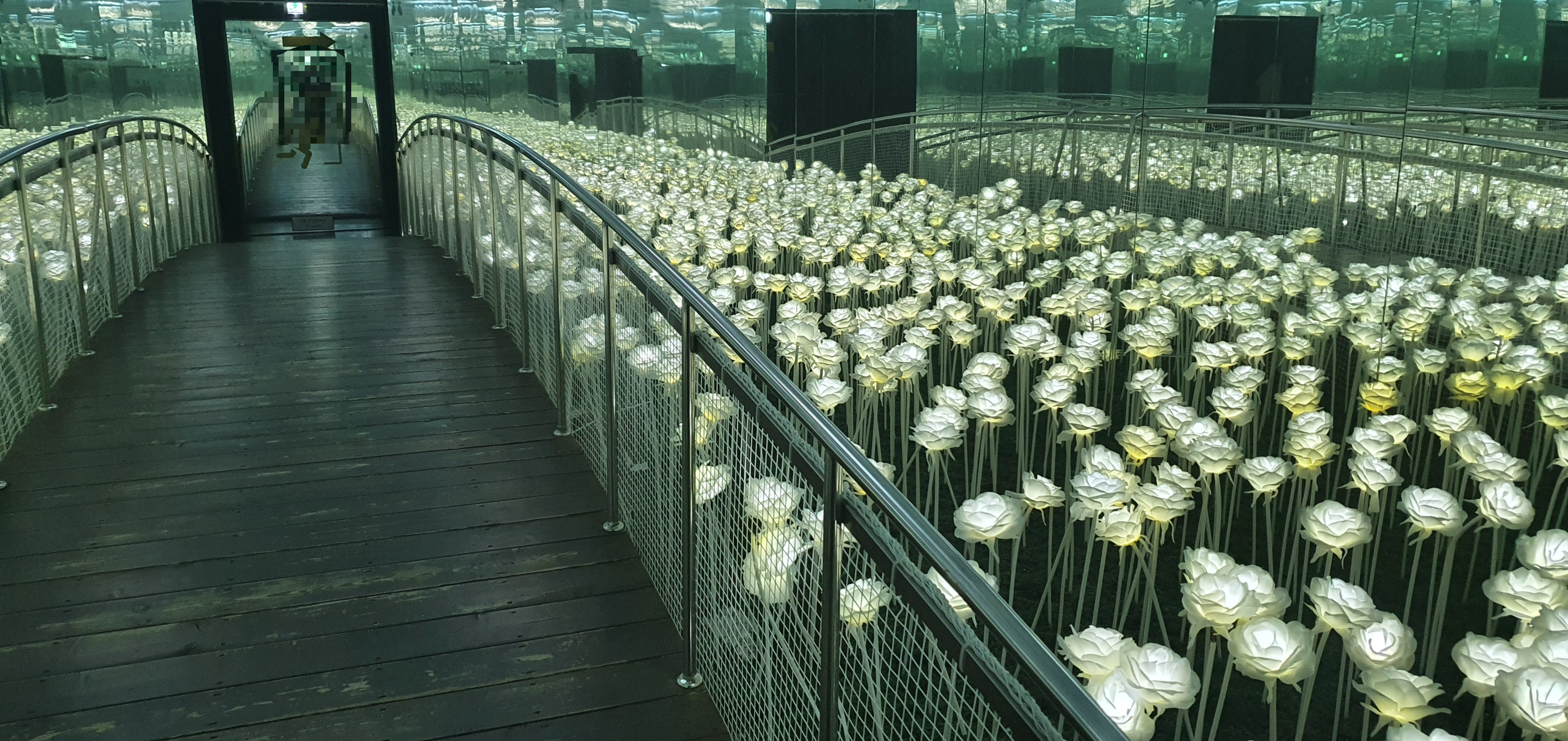 제주 박물관은 살아있다 일루젼