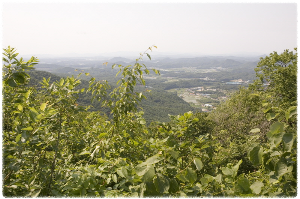박달산