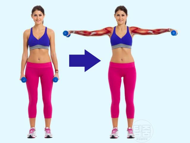 몸선 예뻐지는 운동 매일하면 좋은 운동 덤벨래터럴라이즈