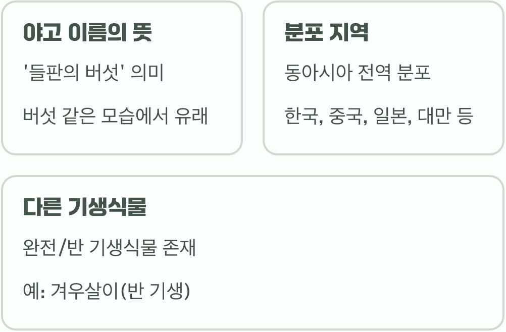 기생식물 야고&amp;#44; 집에서 키우기 가능할까?