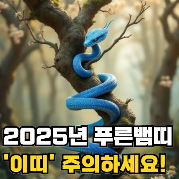 2025년 푸른뱀띠