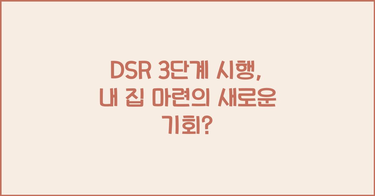 dsr 3단계