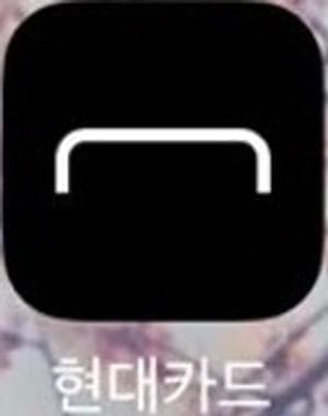 현대카드앱