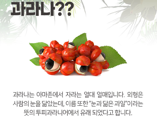 과라나