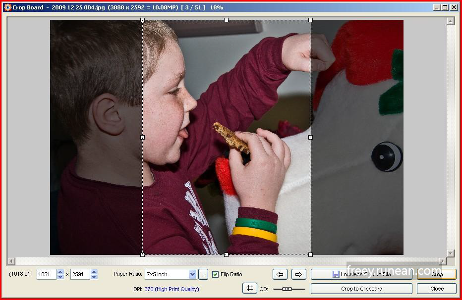 패스트스톤(FastStone)