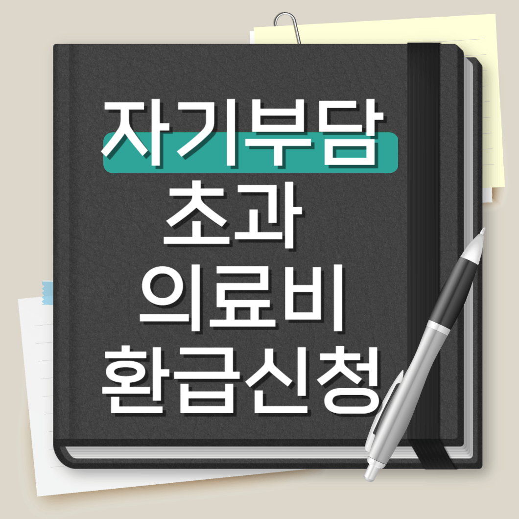 자기부담 초과 의료비 환급신청