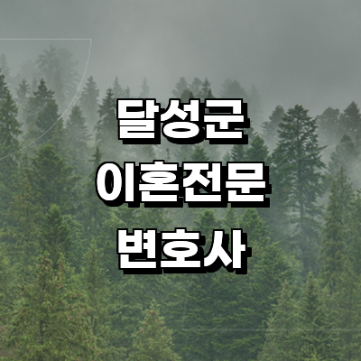 대구 달성군 이혼 변호사