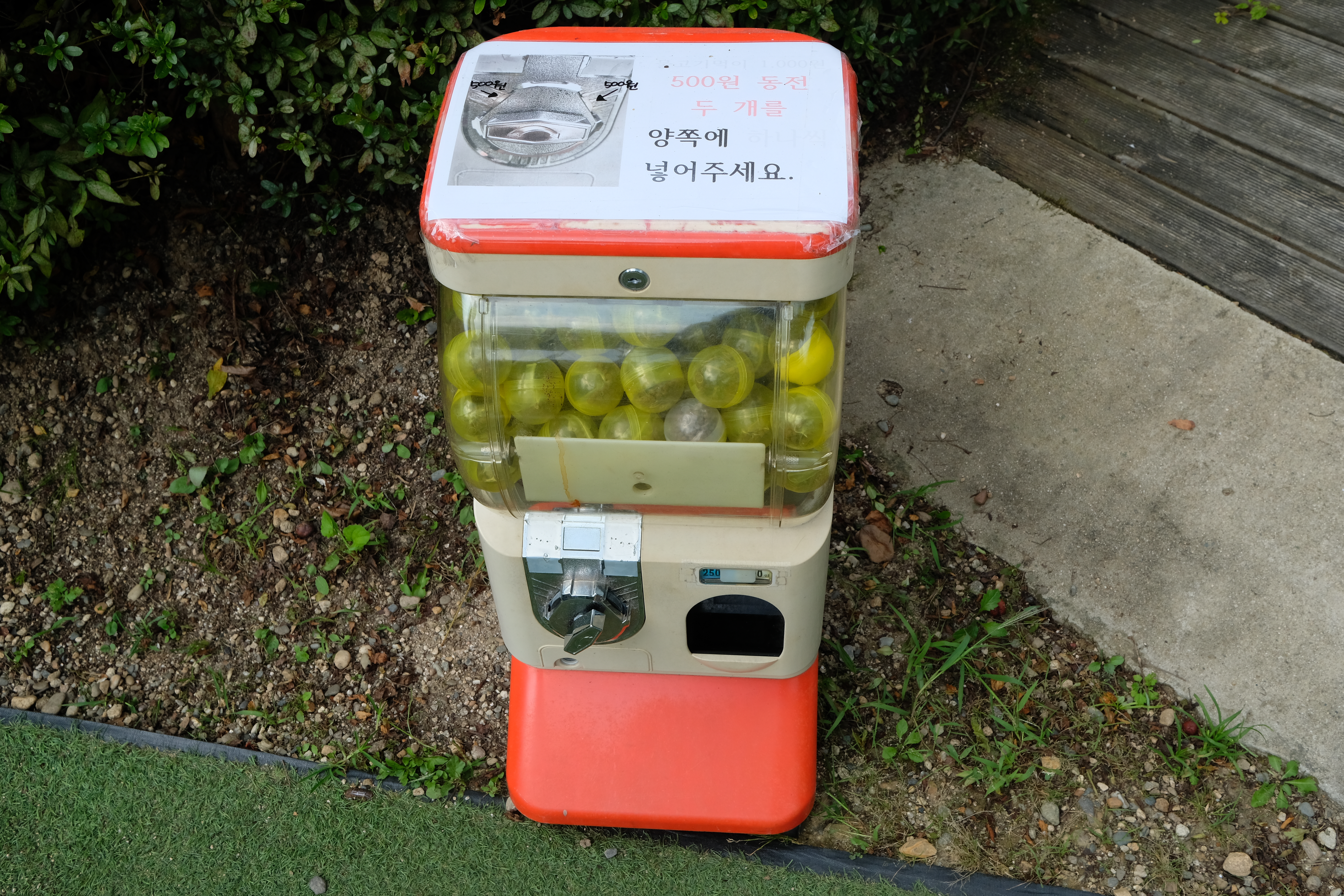 덕평공룡수목원 도담연못 물고기 먹이 자판기