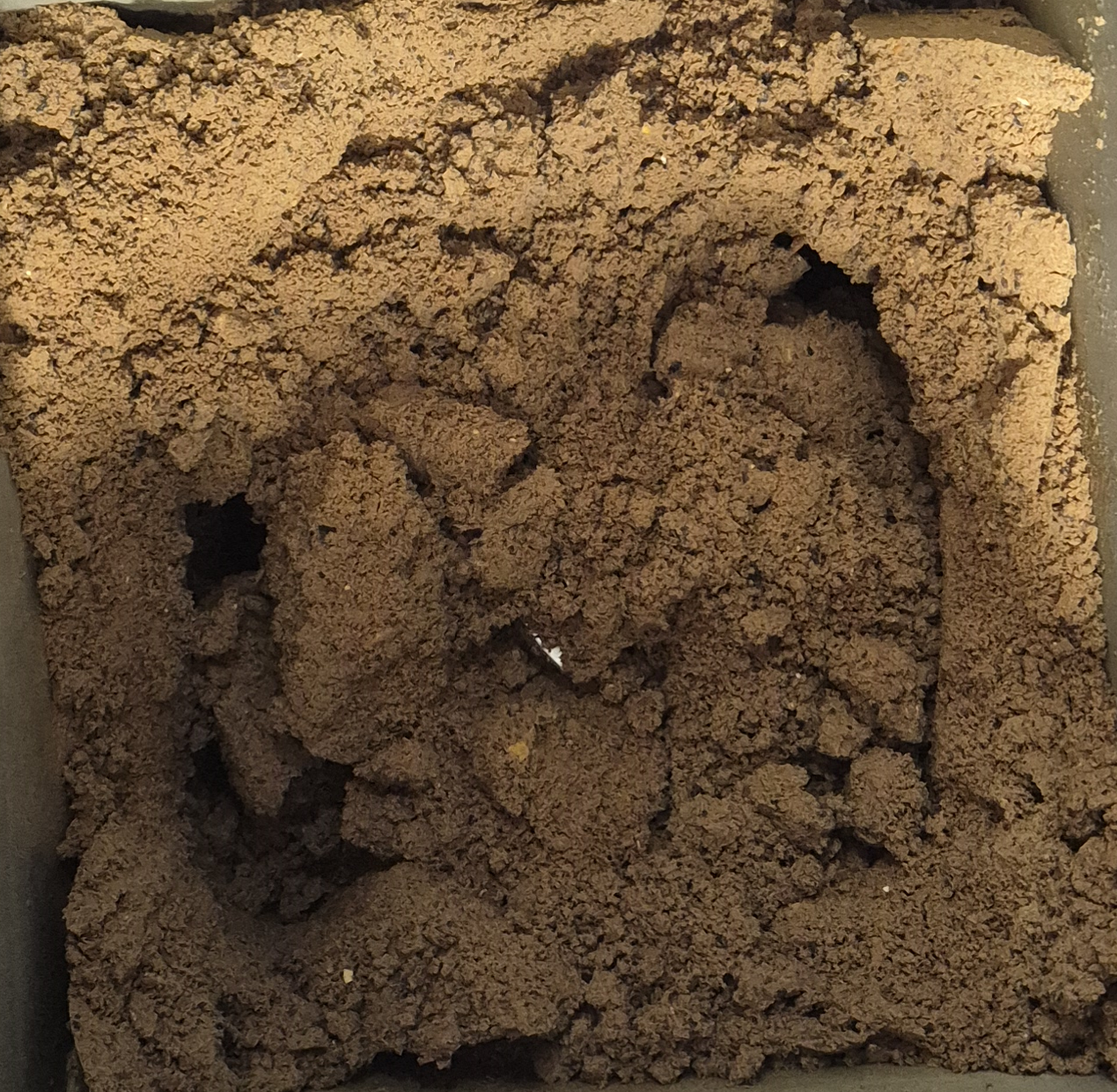 음식물처리기 미생물