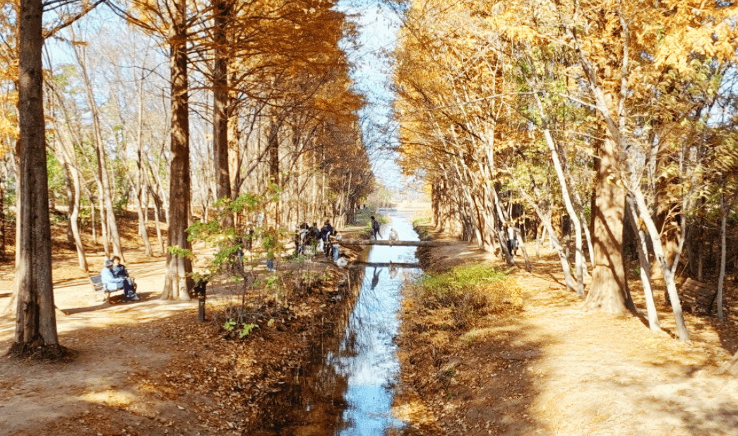 경북 천년숲정원