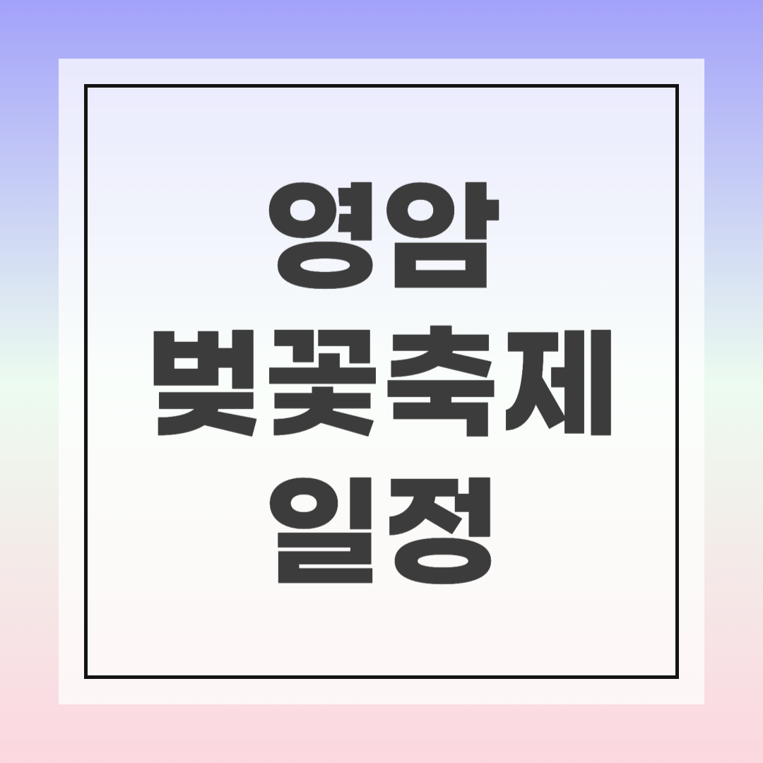 영암 벚꽃축제