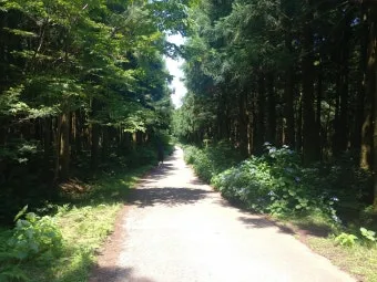 걷기 좋은 명품 숲길 50선 전국 서울 경기_27